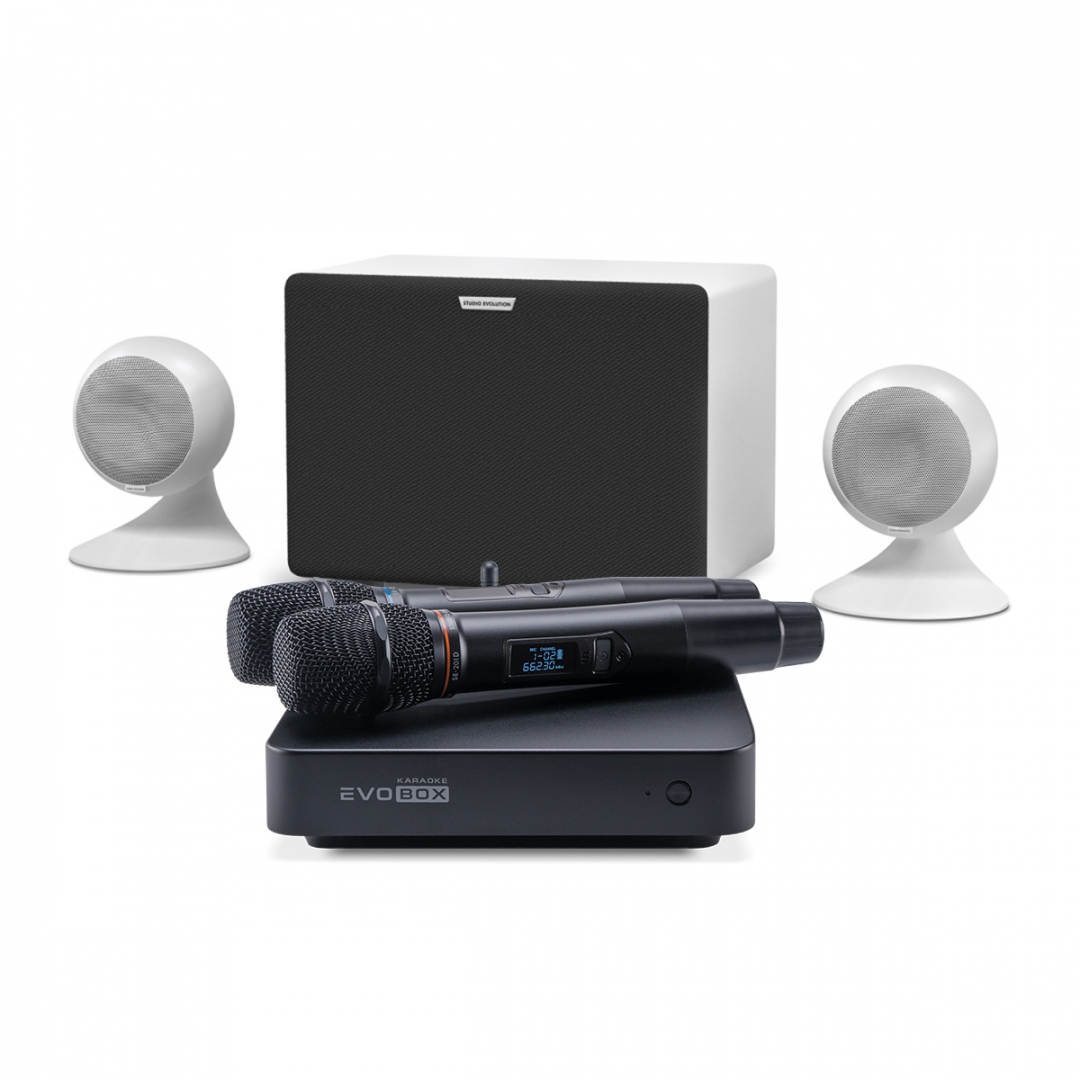 караоке-комплект EVOBOX Classic + EvoSound Sphere 2.1 в Новом Уренгое