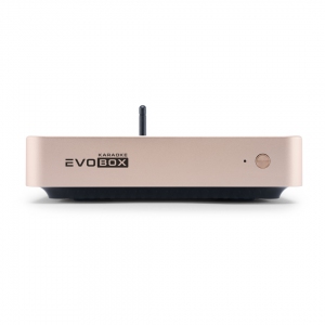 EVOBOX Plus караоке-система для дома в Новом Уренгое