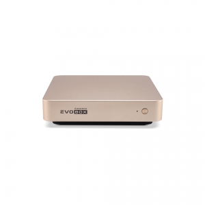 EVOBOX с микрофонами в Новом Уренгое